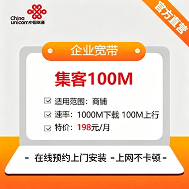 集客100M