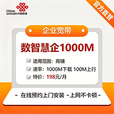 数智慧企1000M
